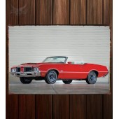 Металлическая табличка Oldsmobile 442 W-25 Convertible